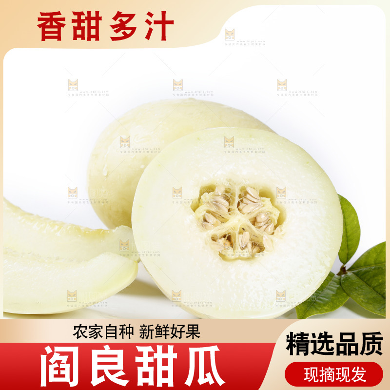白底上放着阎良甜瓜