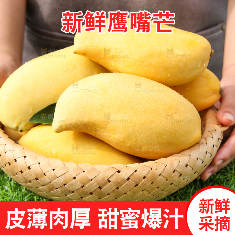 手里端着一篮芒果