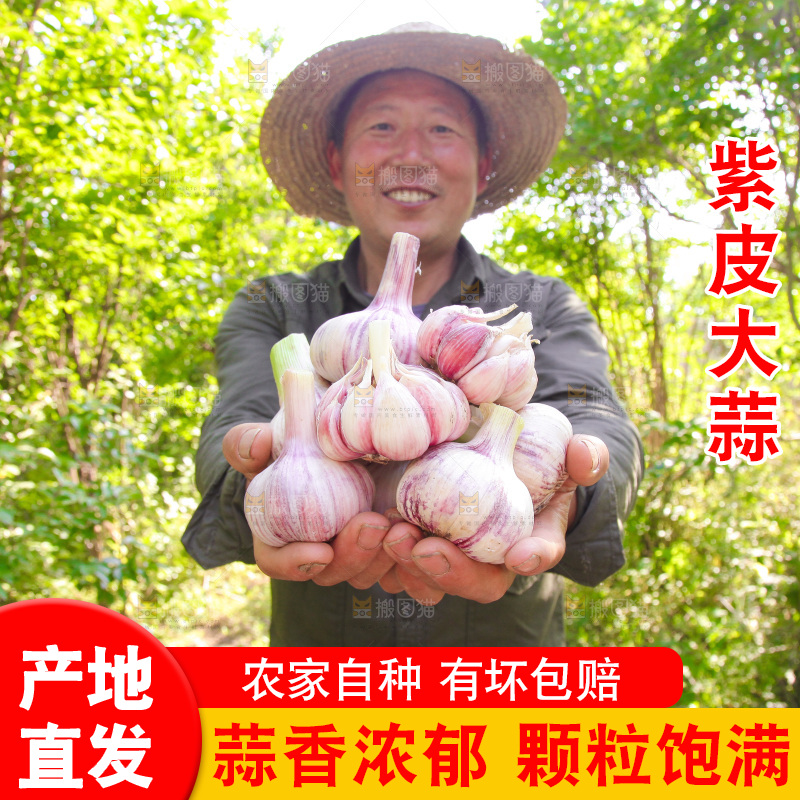 手里捧着鲜蒜