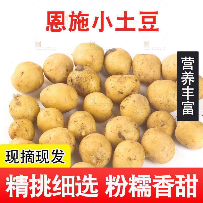 一堆新鲜小土豆
