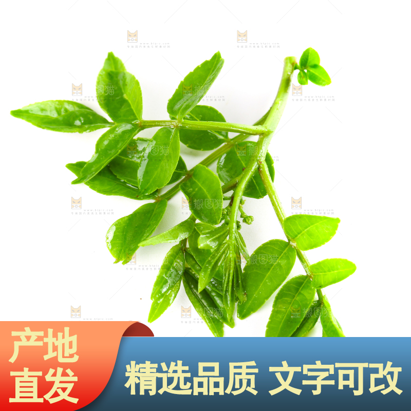 白底上放着花椒芽