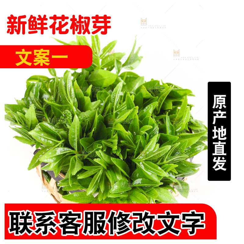 一筐野生花椒芽放在白底上