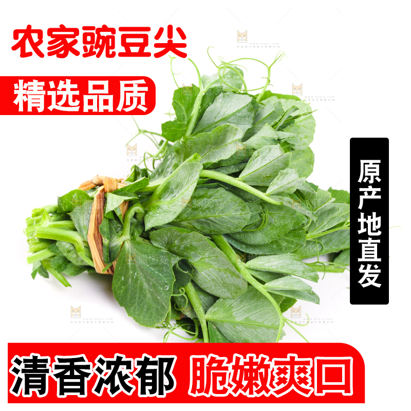 白底上摆放着新鲜豌豆苗