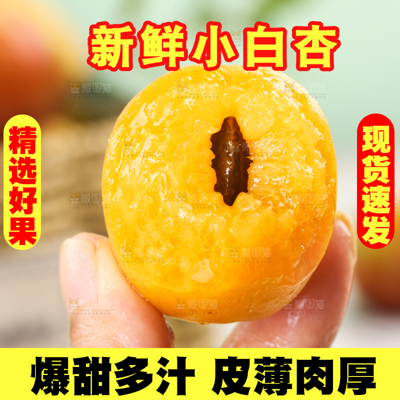 手里拿着新疆小白杏