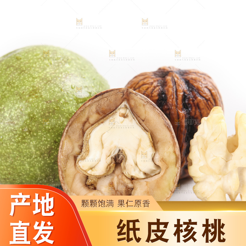 白底上的新鲜湿核桃