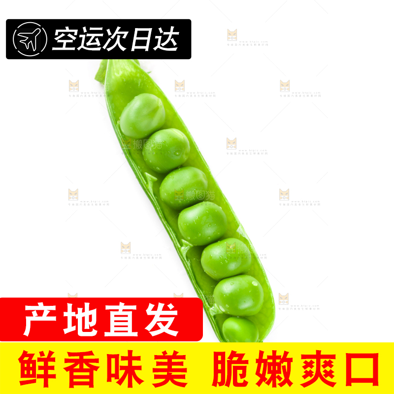 白底上放着剥开的新鲜豌豆