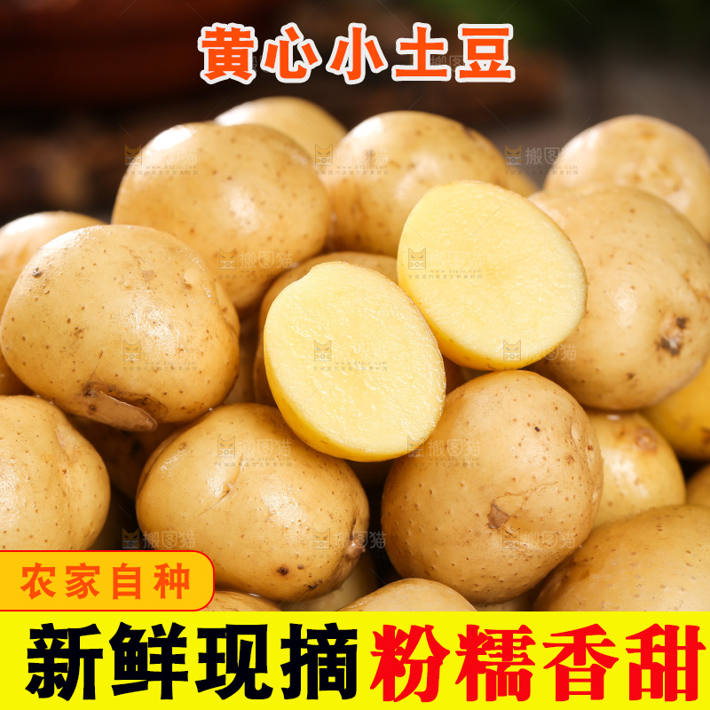 一篮新鲜小土豆