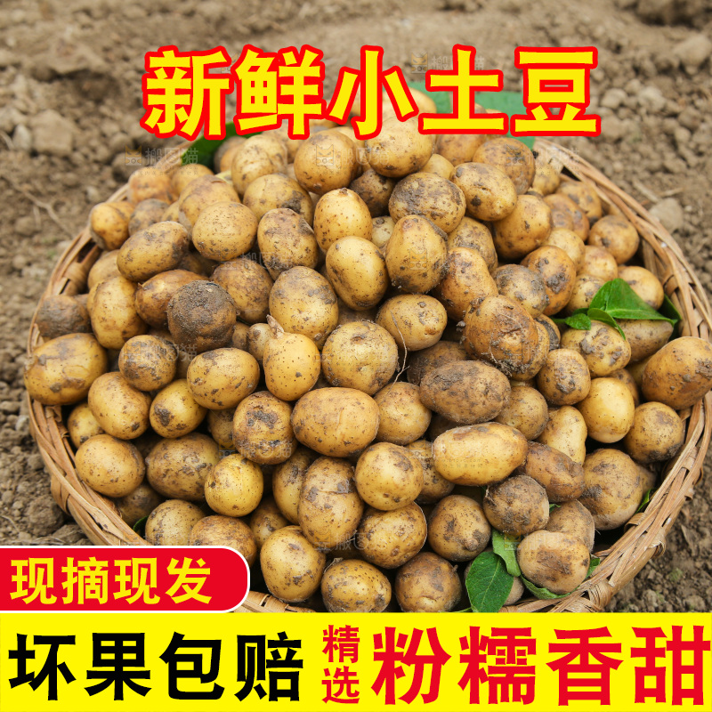 一篮恩施小土豆