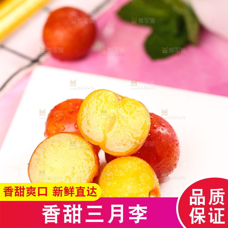 白石板上摆放着钱排三月李