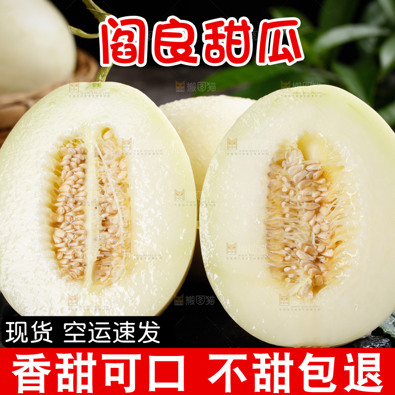 黑底上的阎良香瓜