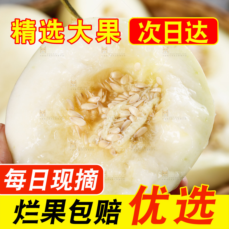 手里拿着阎良香瓜