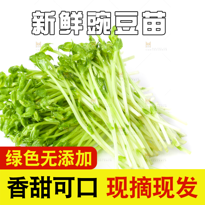 白底上放着豌豆芽菜