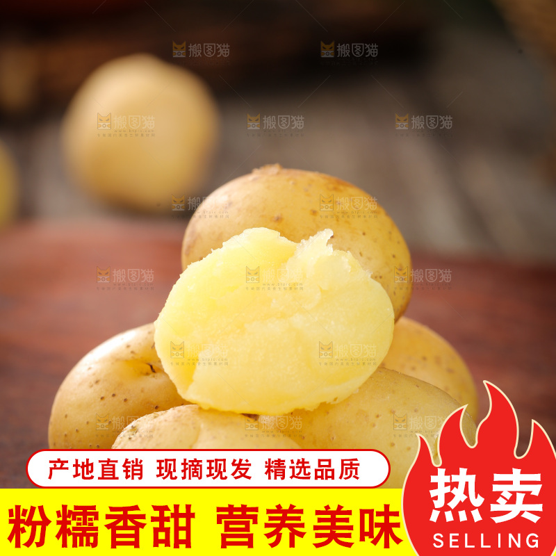木板上的小土豆