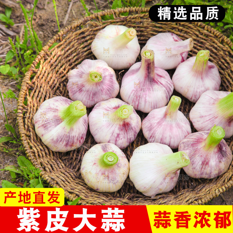 一篮紫皮大蒜