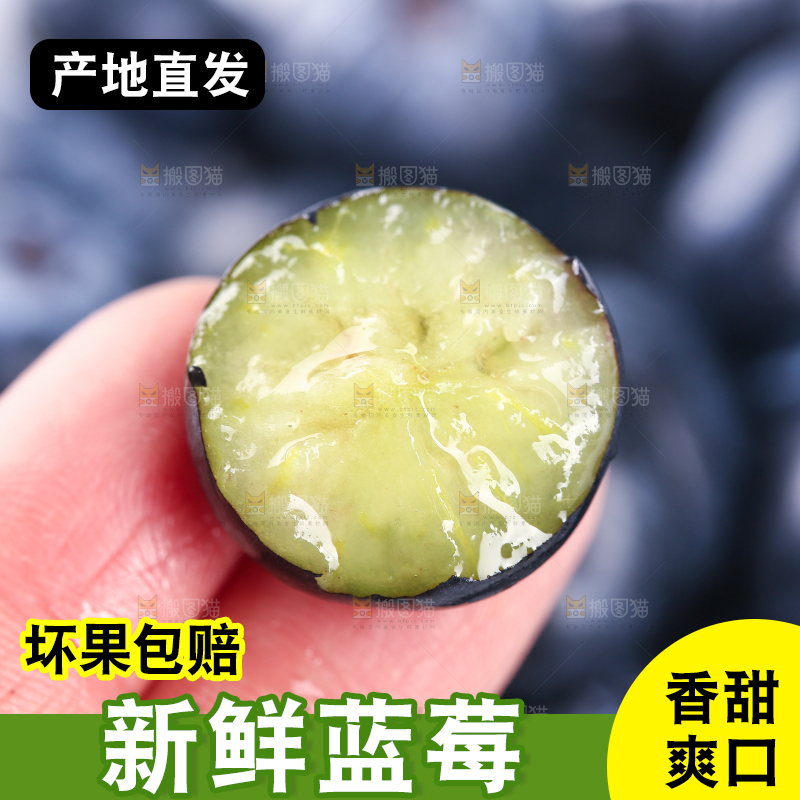 手里拿着蓝莓
