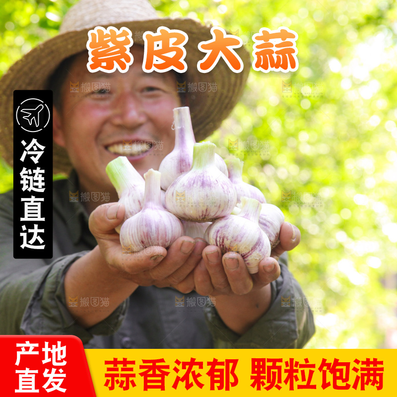 手里捧着鲜蒜