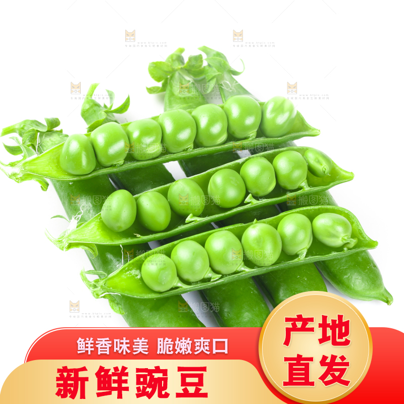 白底上放着新鲜豌豆粒