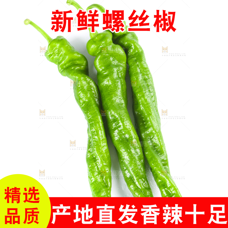 白底上摆放着青螺丝椒