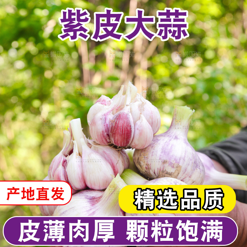 手里捧着鲜蒜