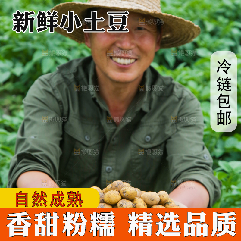 手里端着一篮恩施小土豆