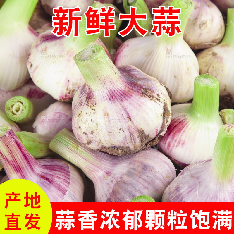 新鲜大蒜纹理