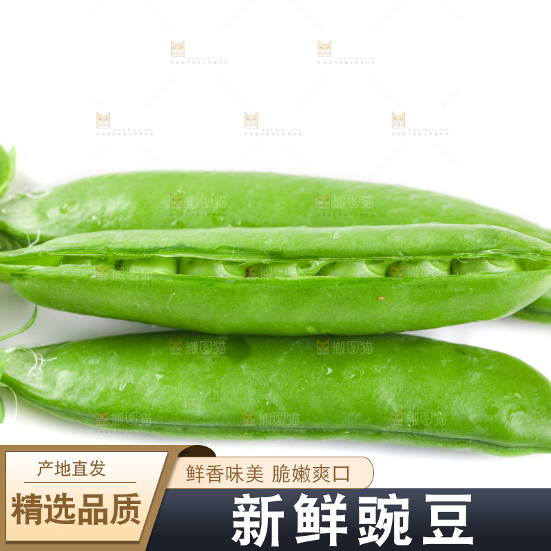 白底上的新鲜豌豆