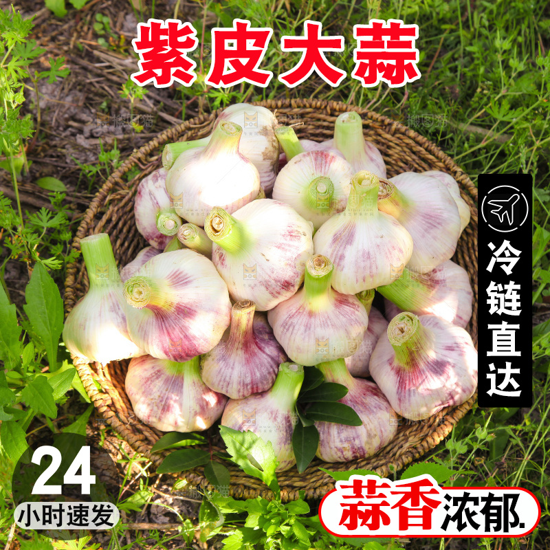 一篮紫皮大蒜