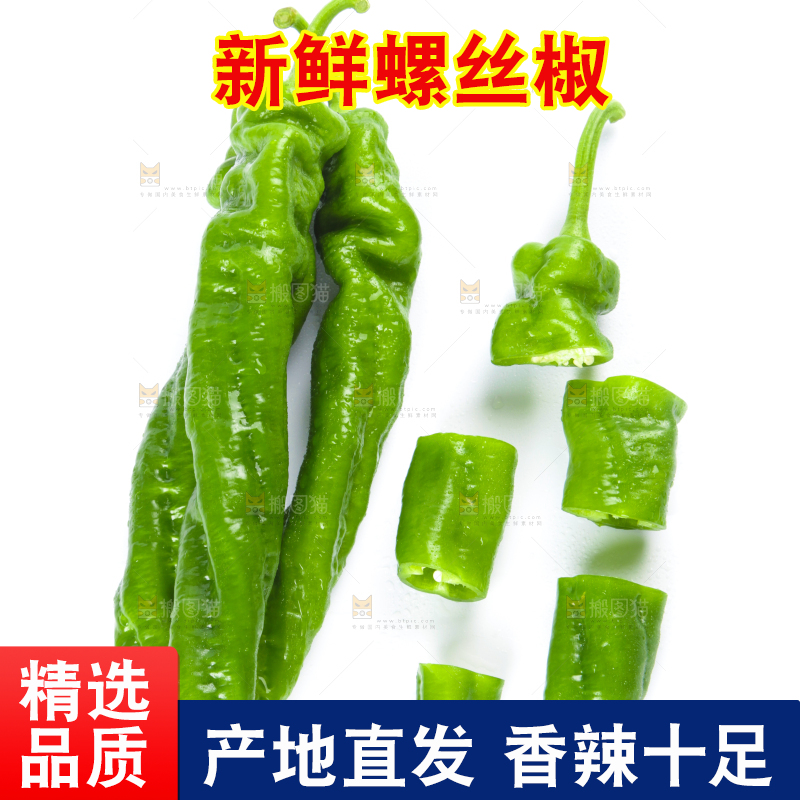 白底上摆放着青螺丝椒