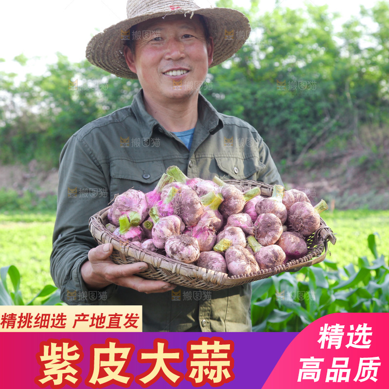 手里端着一篮新鲜大蒜