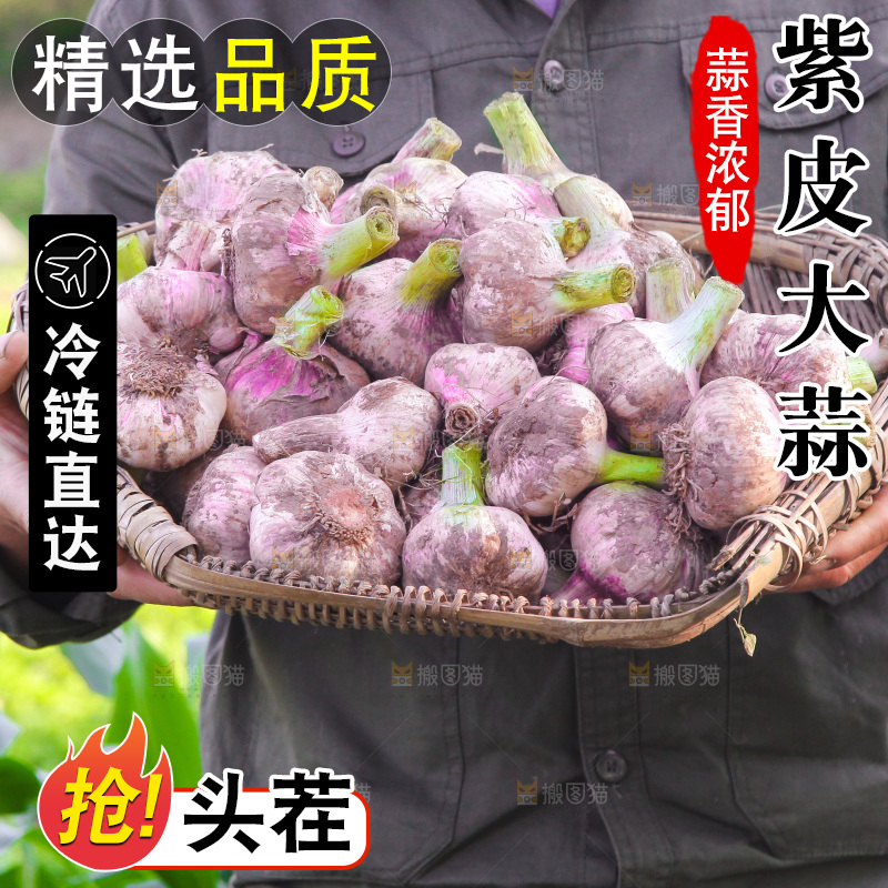 手里端着一篮新鲜大蒜