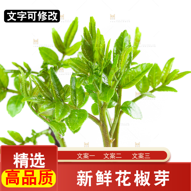 白底上的新鲜花椒芽