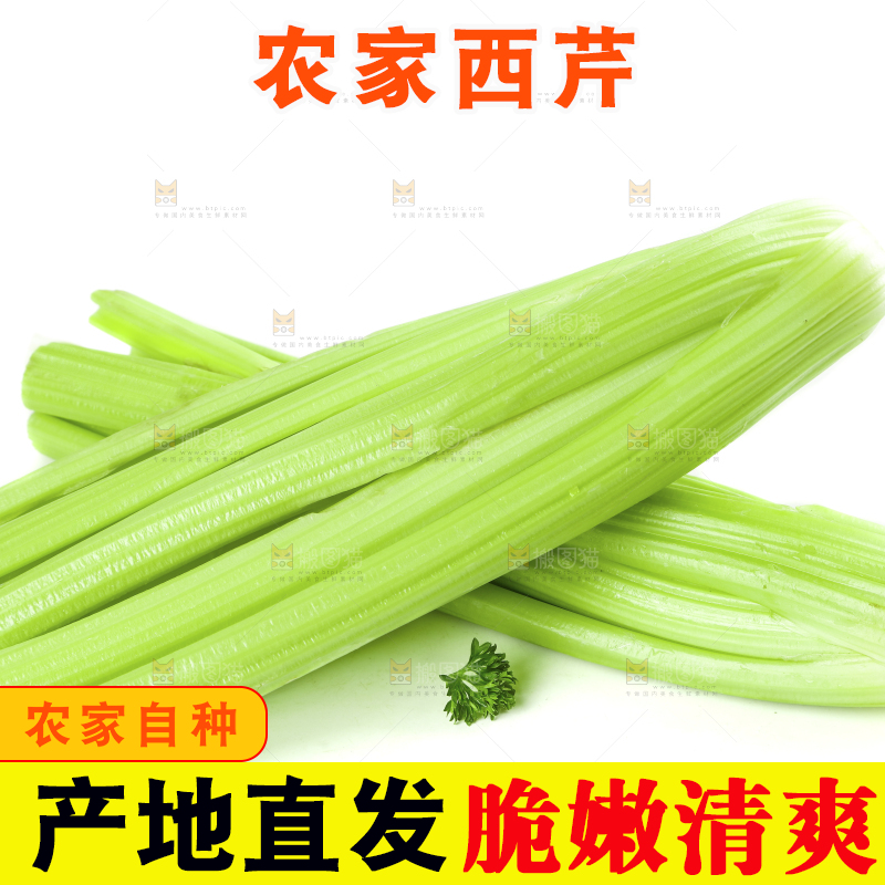 白底上放着西洋芹