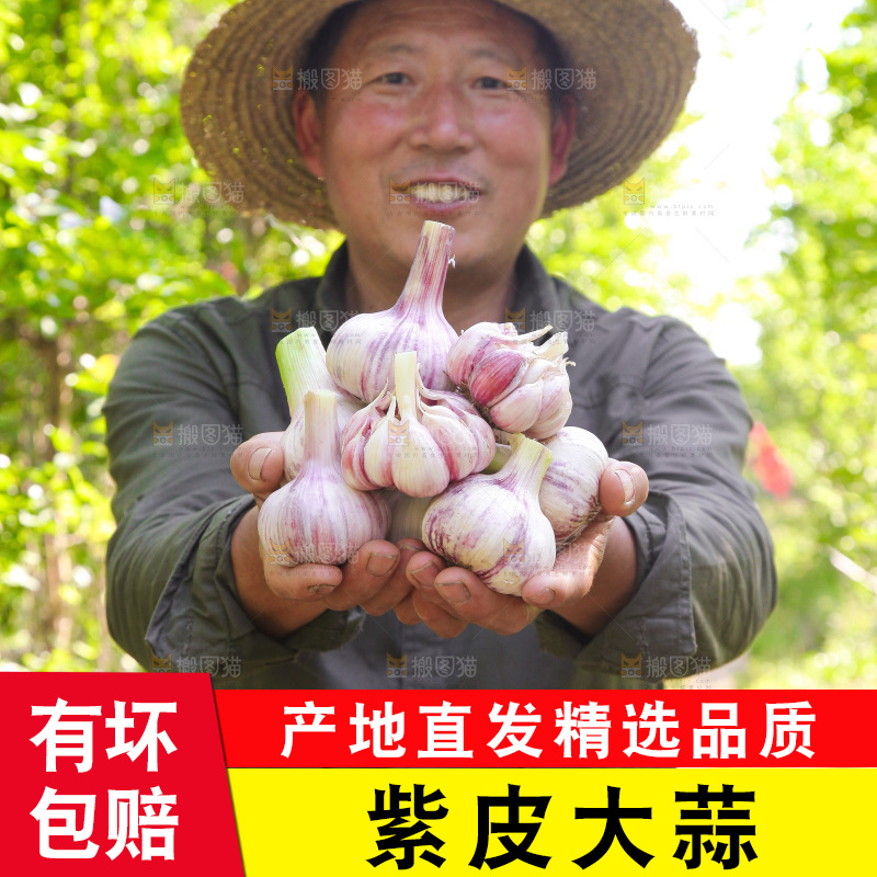 手里捧着鲜蒜