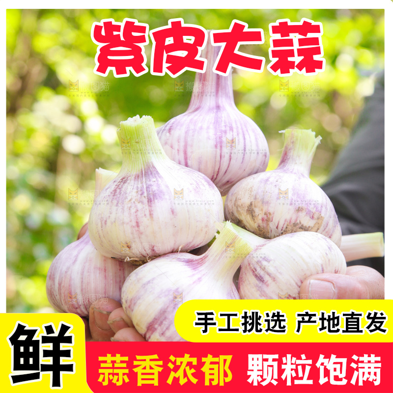 手里捧着鲜蒜