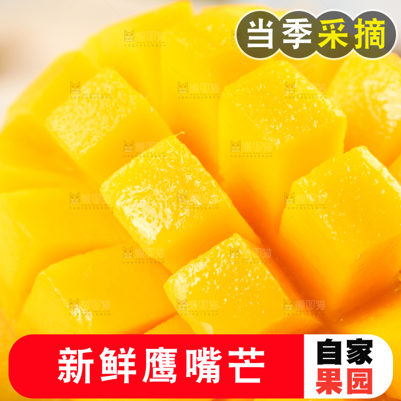 盘子里装着鹰嘴芒