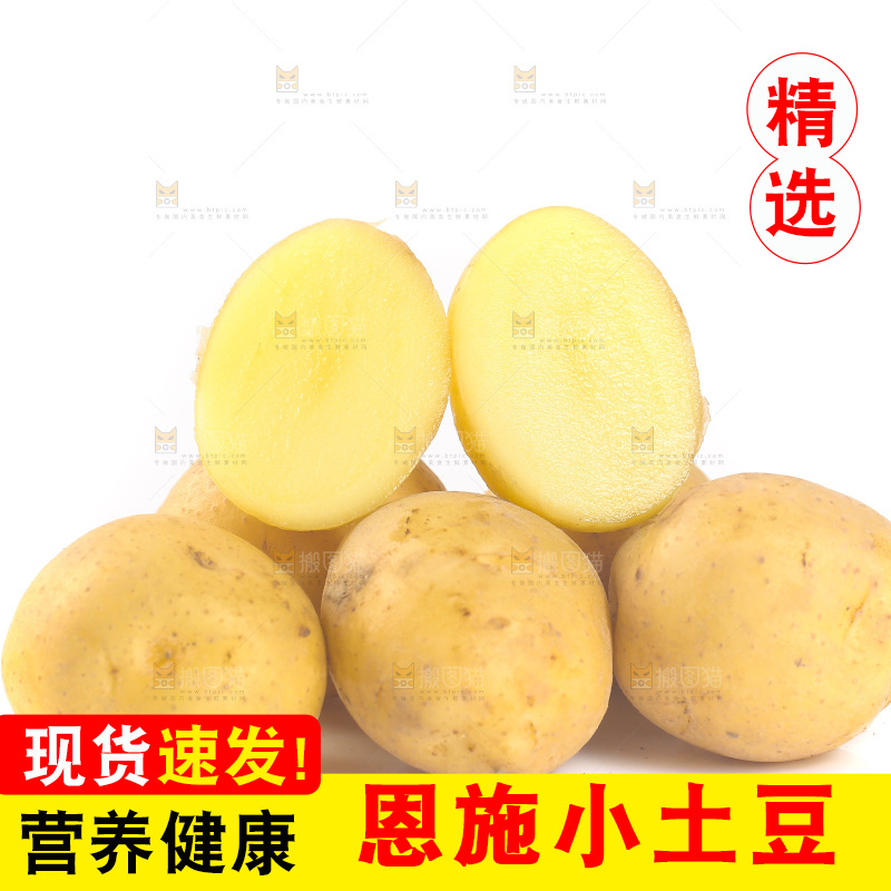 白底上的黄皮小土豆