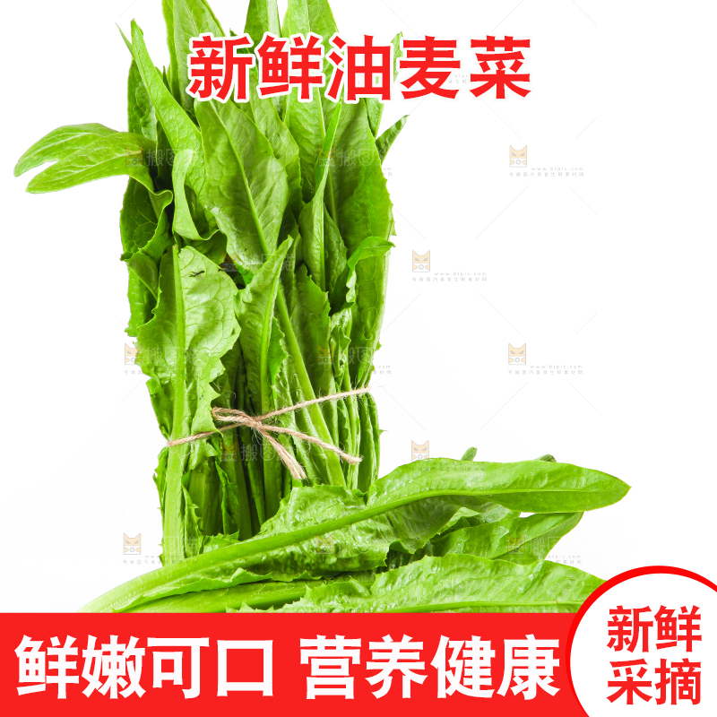 白底上的香麦菜