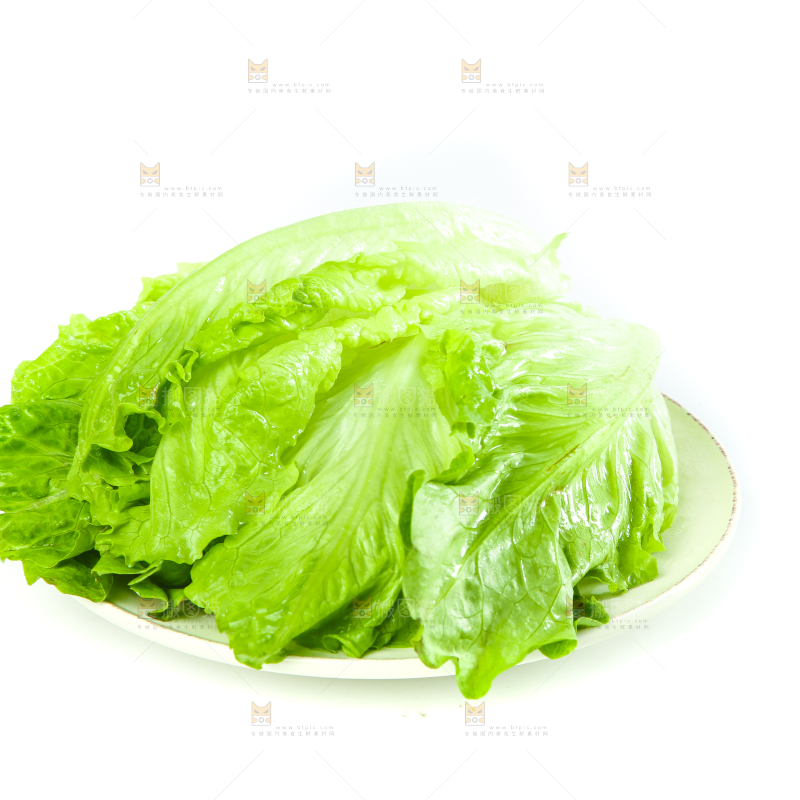 白底上的生菜