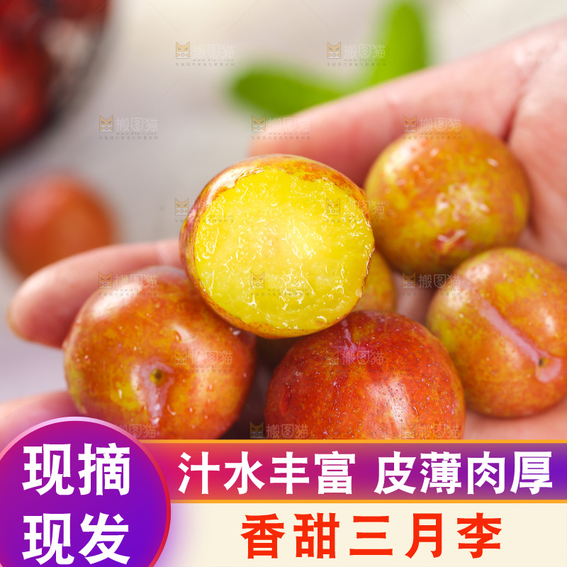 手里捧着三月李