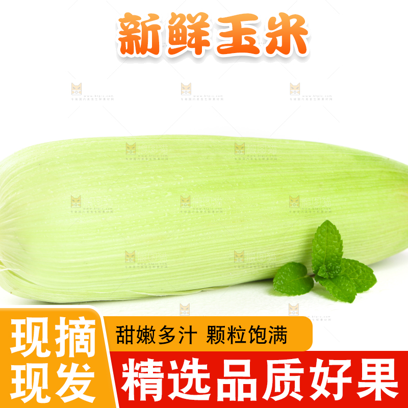 白底上放着黄玉米