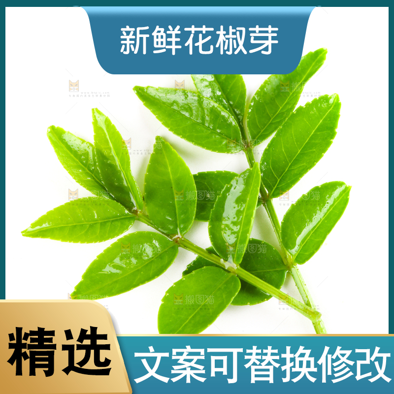 白底上放着花椒芽