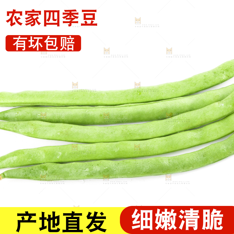 白底上摆放着四季豆