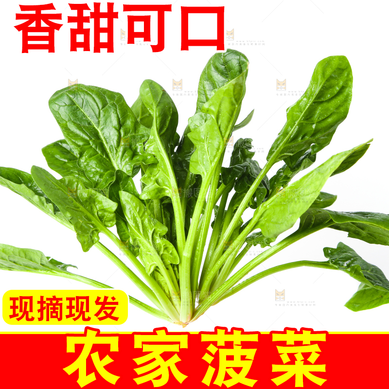 白底上放着菠菜