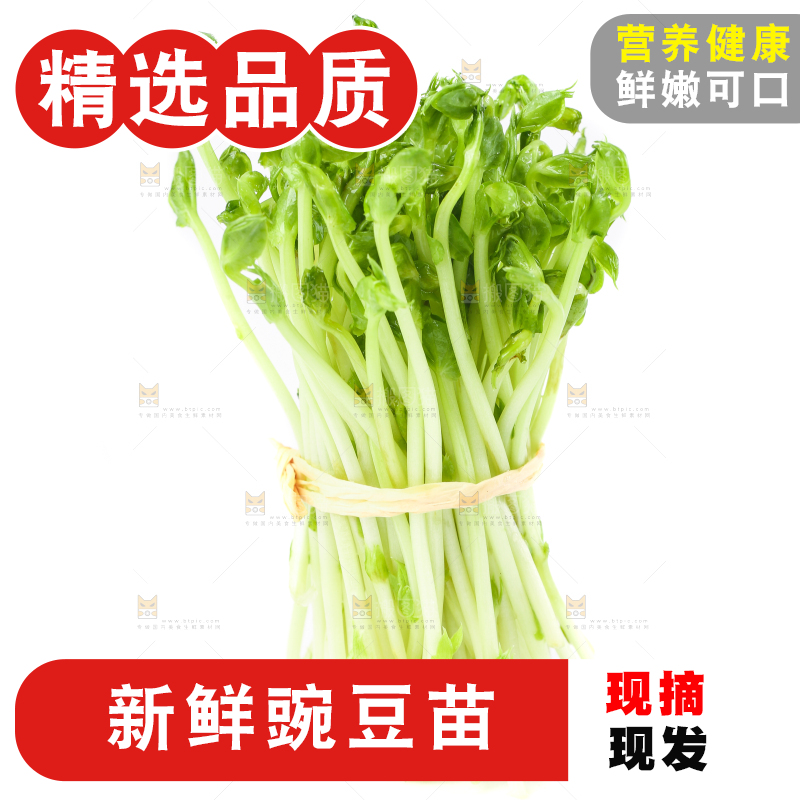 白底上放着豌豆芽菜