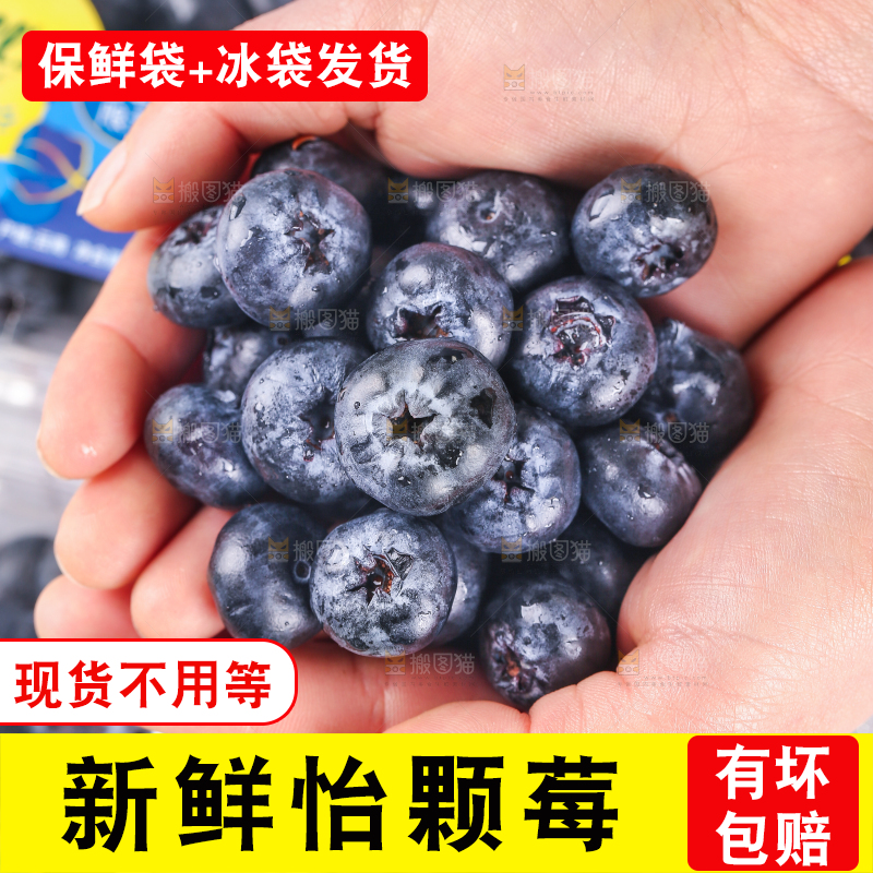 手里捧着大蓝莓