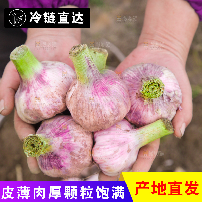 手里捧着大蒜