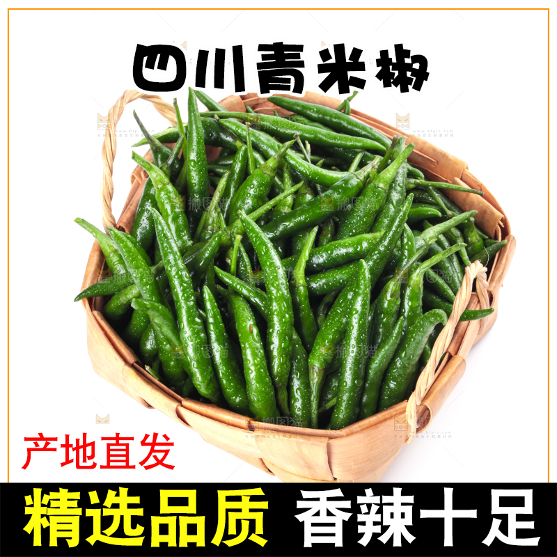 一筐新鲜的青小米辣放在白底上