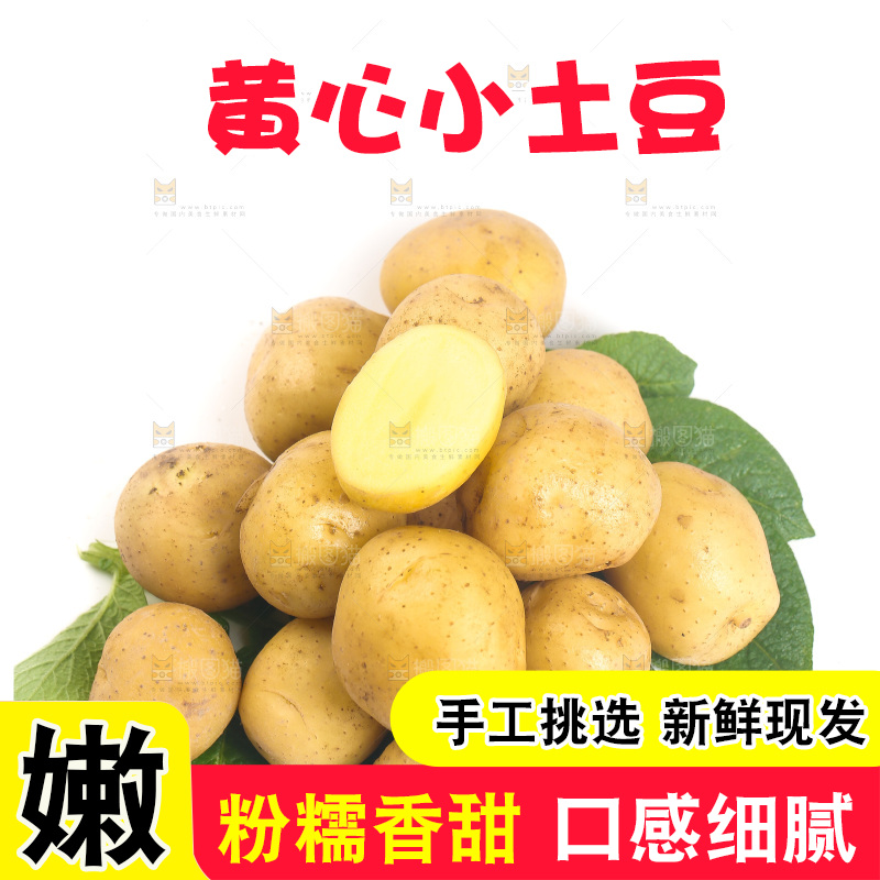 一堆小土豆