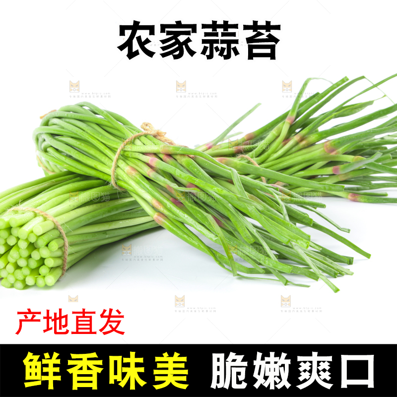 白底上的鲜嫩蒜苔