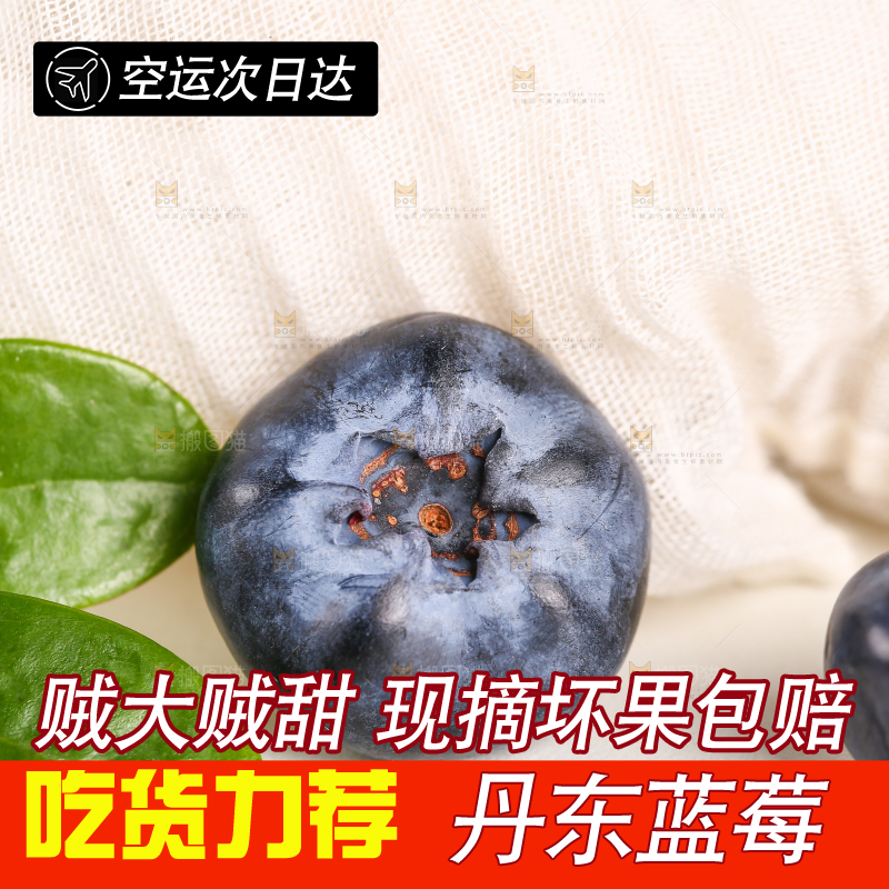 白底上的怡颗莓